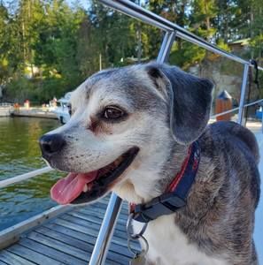 Meet your Posher, Aileen